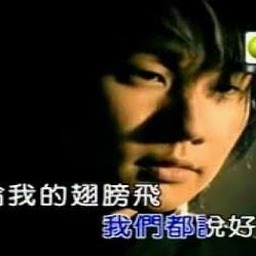 余生为妻天空的翅膀