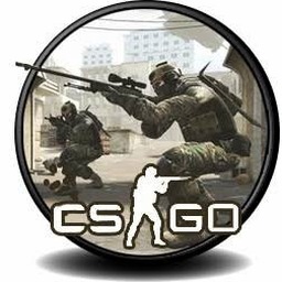csgo major