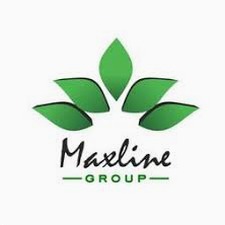 maxline电脑安装包