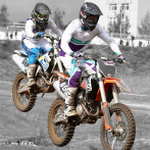RealMoto2官网入口