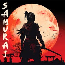 大小武士生存物语内购