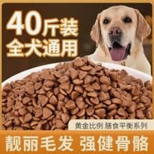 狗粮哪个牌子的品质好