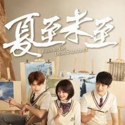 夏至未至电视剧全集免费观看高清在线播放星辰影院
