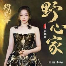 野心家电视剧