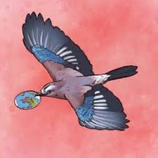 展翅翱翔 bgg