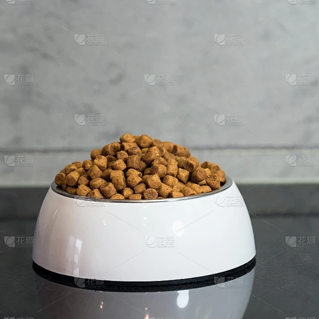 这碗狗粮有点甜简谱