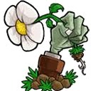 植物大战僵尸lz重制版电脑