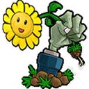 植物大战僵尸胆小菇之梦怎么玩游戏封面