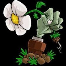 植物大战僵尸无名版1.3.0beta4