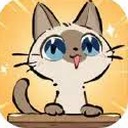 猫咖怪谈电视剧