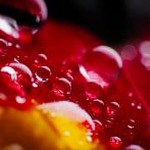 水滴轮