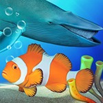 水族馆农场在哪里